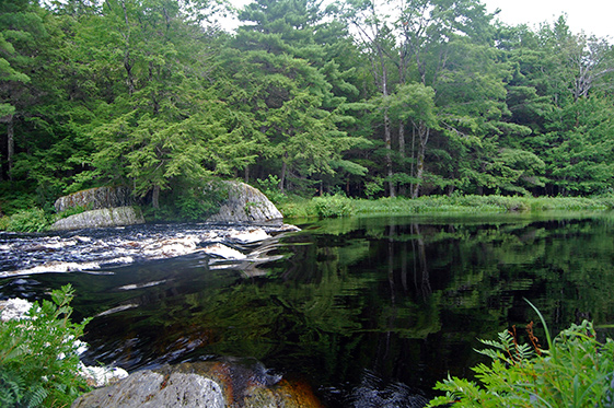 Results "show the benefits of whole-lake experimentation" at ELA