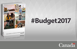 Budget 2017 highlights innovation and skills, but adds no new funds for basic research