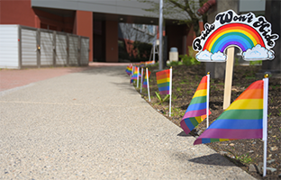 Pride flags at the University of Fraser Valley vandalized nine times in two months
