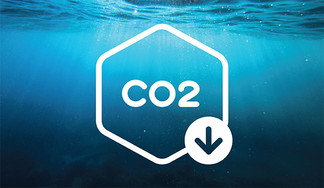 carbon dioxide formula