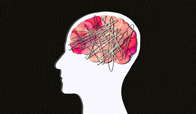 Homan brain structure